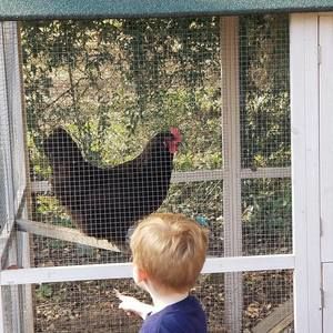 Meet your Posher, Angela